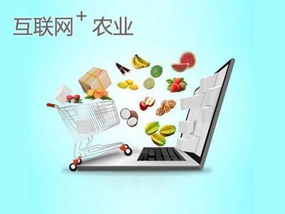 網紅帶貨日入四萬 如何將流量轉化為可持續的財富？